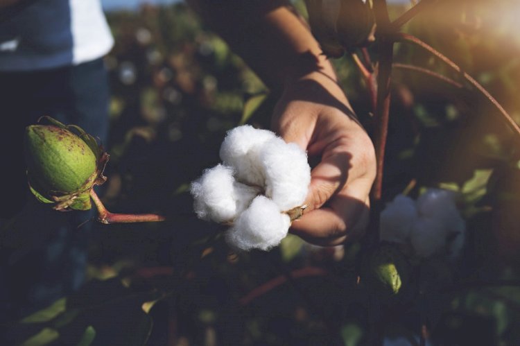 Egeli tekstil ihracatçıları yeşil dönüşüm ve dijitalleşmeye odaklandı