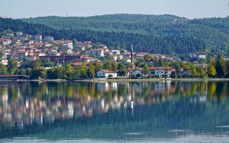 Güncel Sakarya Firma Rehberi