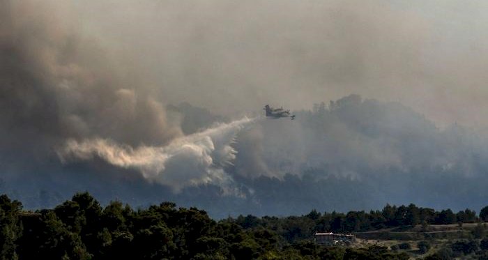 Yunanistan'da orman yangını endişe yarattı