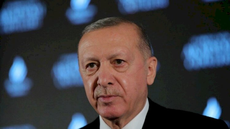 Japon gazetesi Nikkei: Erdoğan kurallar kitabını çöpe attı