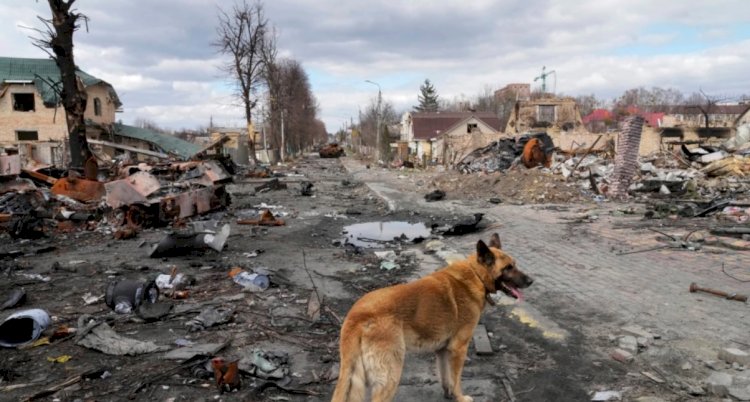 "Ukrayna'nın Savaş Suçu İddiaları Propaganda Amaçlı"