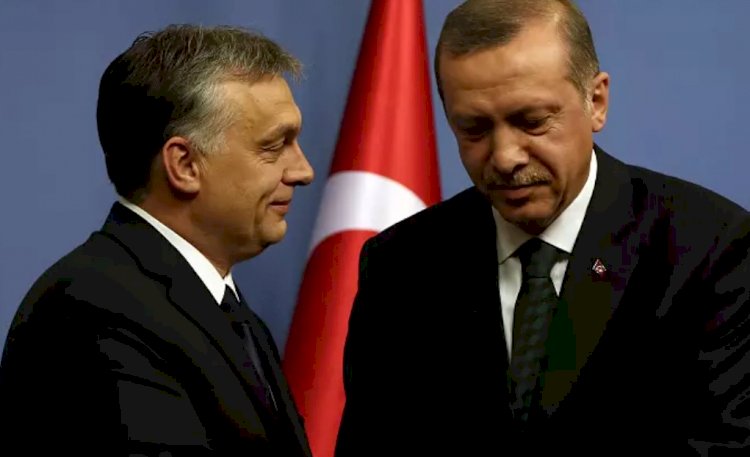 Finlandiya ve İsveç'in NATO üyeliğinin önünde iki engel kaldı: Macaristan ve Türkiye