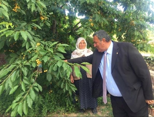 CHP’li Gürer: İngiltere sarayına bile giden kiraz nasıl olur da dalda kalır