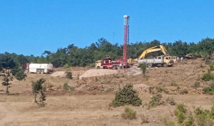 Yargı süreci devam ederken bakır madeni için ağaç kıyımı: Kaz Dağları kuruyacak