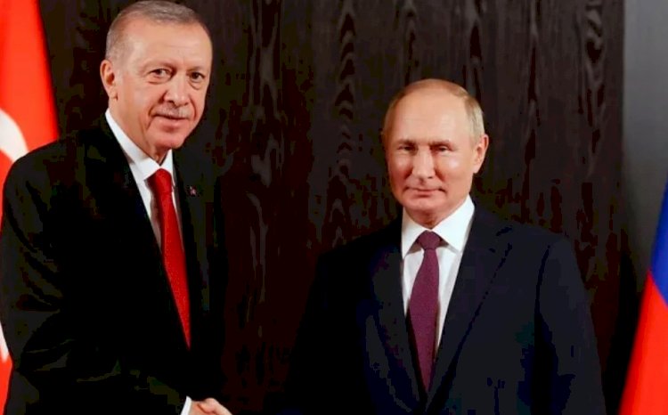 Tahıl Koridoru Anlaşması: Erdoğan-Putin görüşmesinden ne bekleniyor?