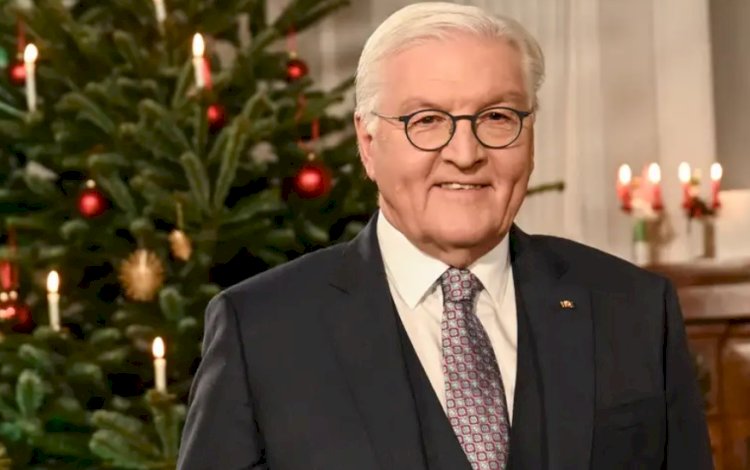 Steinmeier'den demokrasiye sırt çevirmeyin çağrısı