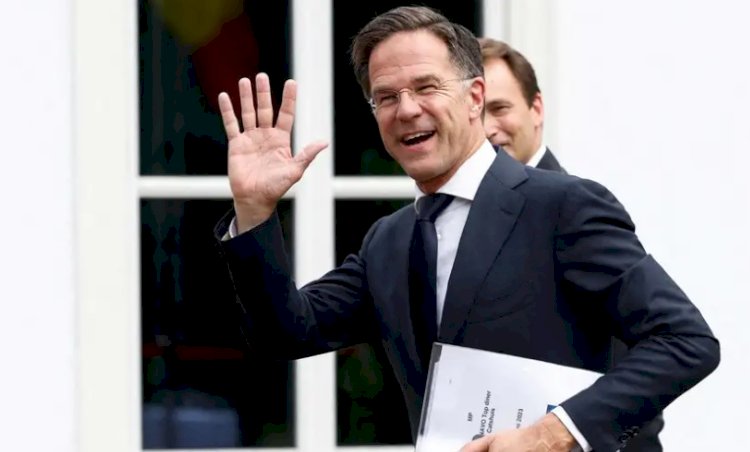 Türkiye'den Rutte'ye destek