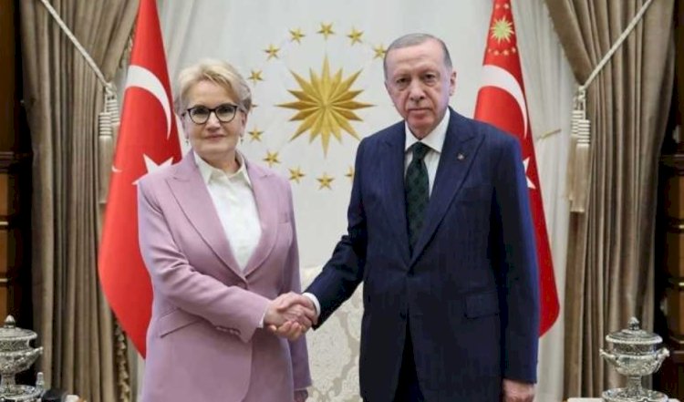 Sürpriz görüşme ile ilgili iddia: Akşener oğlu için Erdoğan’dan ne istedi?