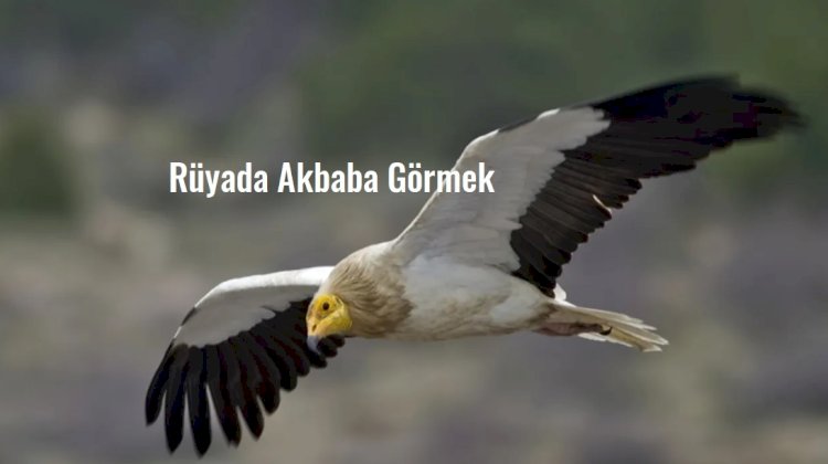 Rüyada Akbaba Görmek