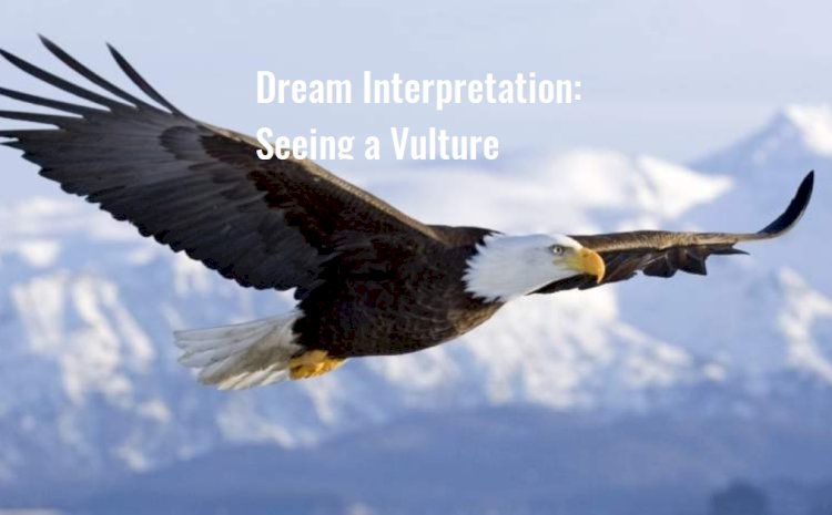 Dream Interpretation: Seeing a Vulture