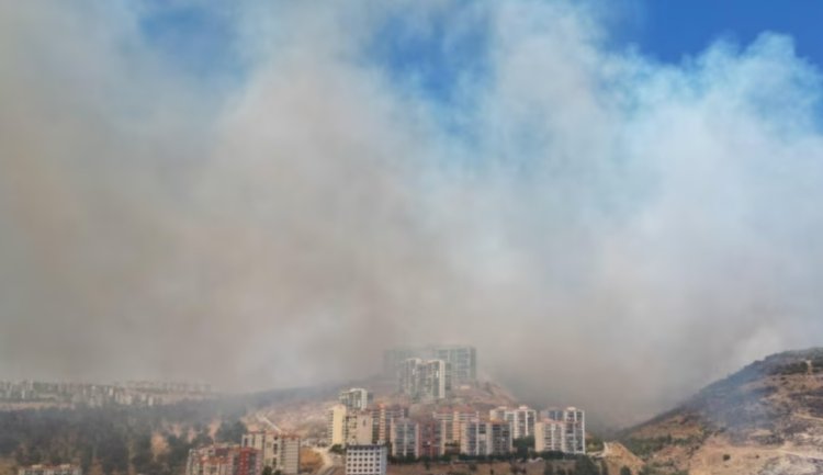 İzmir'de Orman Yangını Sürüyor: Rüzgar Müdahaleyi Zorlaştırıyor