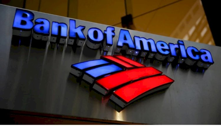 Bank of America'nın Borsa İstanbul'da En Çok Alım Yaptığı Hisseler Açıklandı