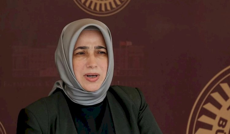 AK Partili Zengin'den Tahliye Olan Dilruba Kayserilioğlu'na Uyarı: Ceza Alabilir