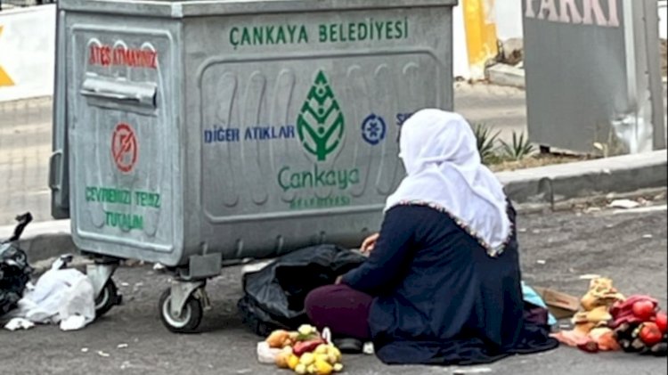 Ankara'da Yoksulluk, Çöp Bidonlarıyla Gözler Önüne Seriliyor