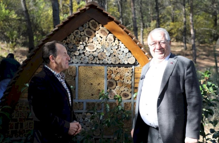 Edremit’te Arıcılık ve Bal Üretimi İçin Yeni Projeler Hayata Geçiyor